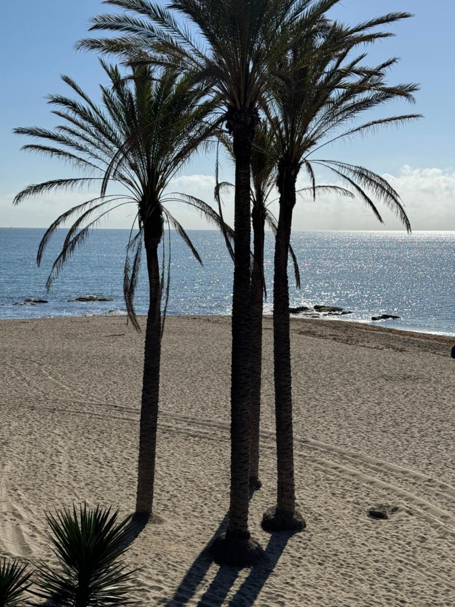 Brand New Studio Benalmadena Exterior photo